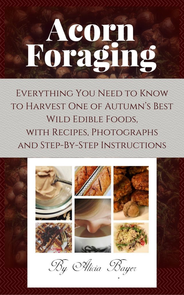 Acorn Foraging: Everything You Need to Know to Harvest One of Autumn’s Best Wild Edible Foods, with Recipes, Photographs and Step-By-Step Instructions