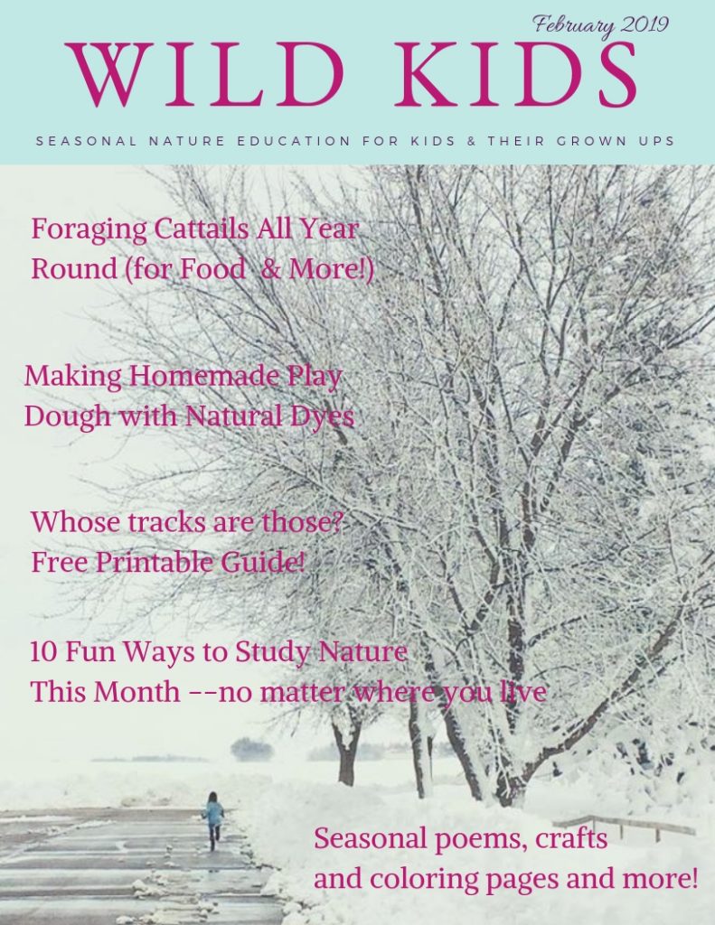 Wild Kids Magazine -- FREE printable nature magazine for kids and their families