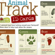 Print out free animal track ID cards!