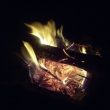 Campfire science!