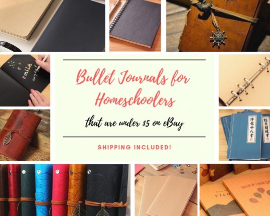 Bullet Journals for Homeschoolers that are under 5 dollars