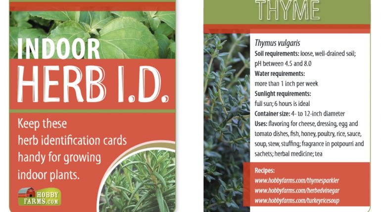 Free printable indoor herb ID cards