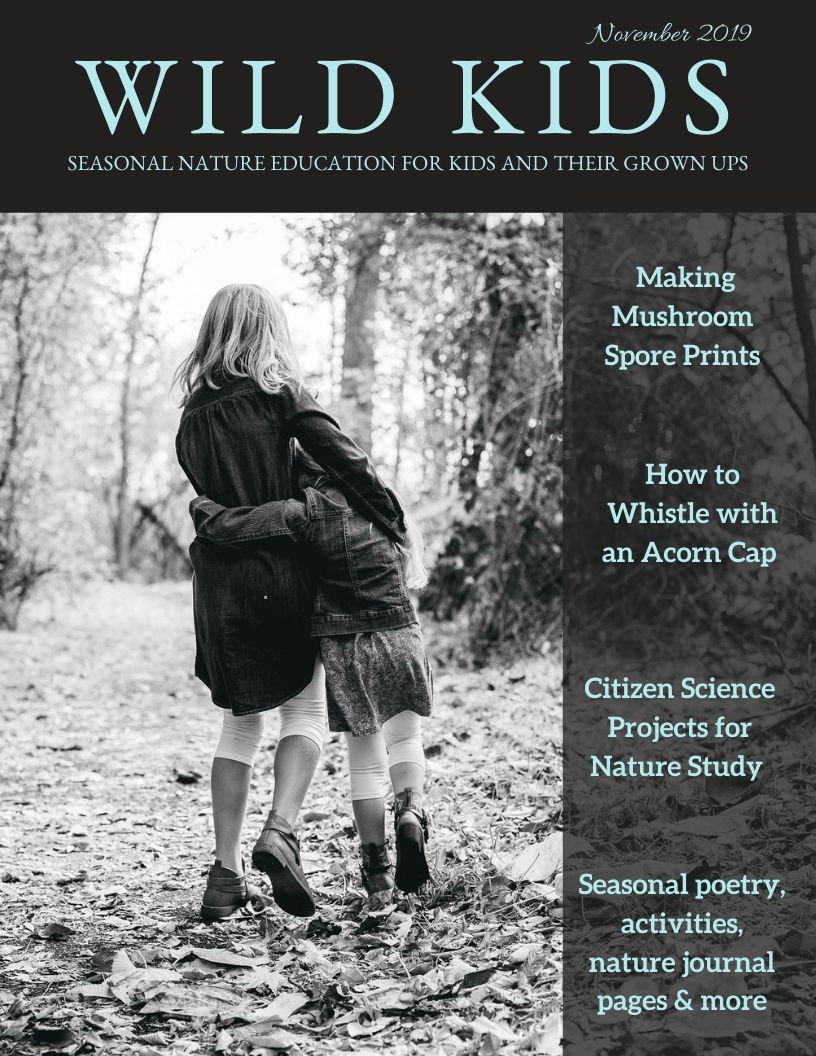 November Wild Kids Magazine